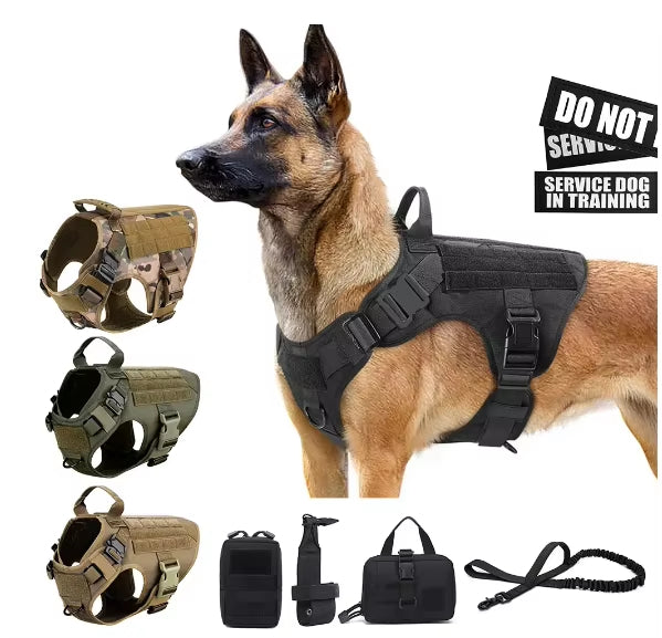 Enhance Your Pet's Adventures with Our Luxury Dog Leash Set