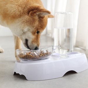 Why Your Pet Deserves the Best Feeding and Drinking Experience