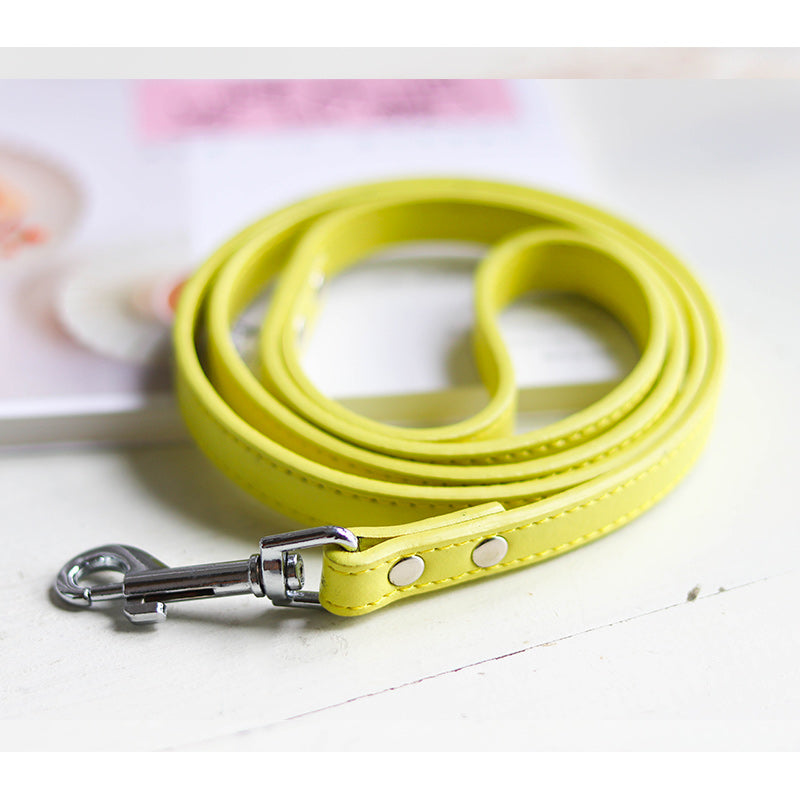 Unleash the Fun with Our Pet Leash Collar Control Strap!