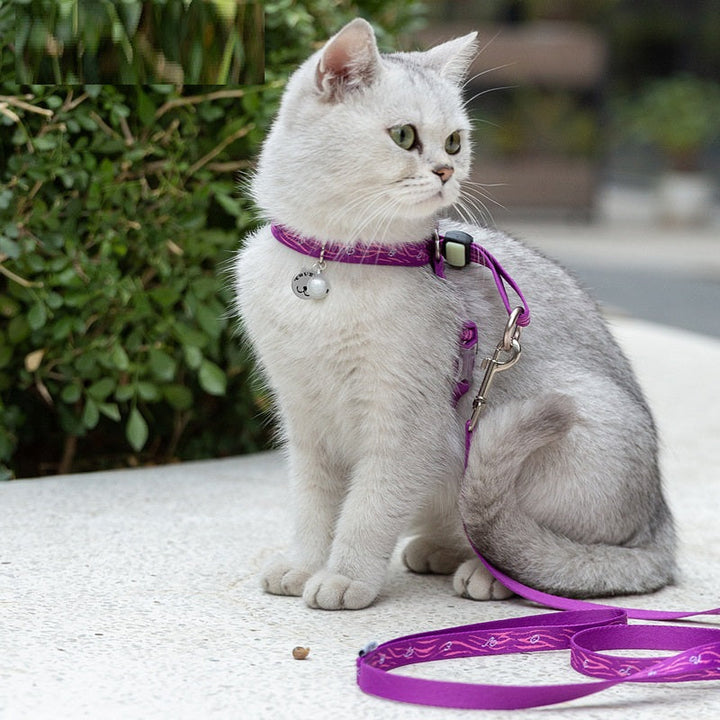 Unleash Adventure with the Bell Chest Strap Pet Vest
