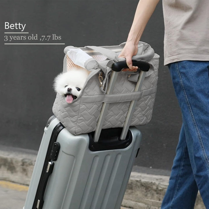 Explore the Comfort of Travel with Our Breathable Pet Carrier Bag