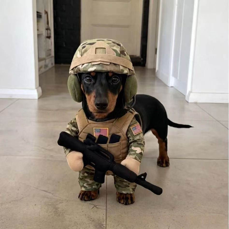 Why Your Pup Deserves the Puppy Soldier Clothes Suit