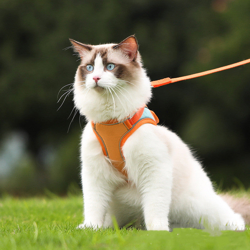 Discover the Reflective Anti Escape Pet Harness Leash