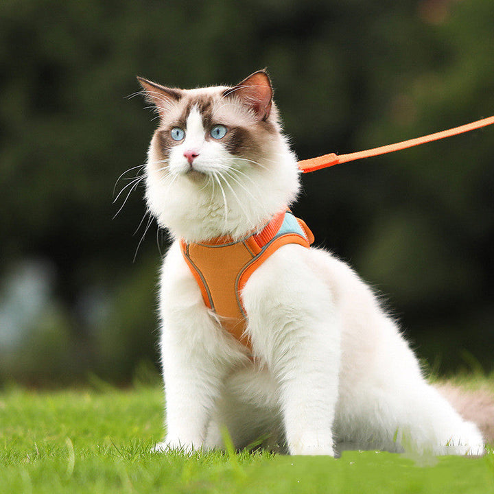 Discover the Reflective Anti Escape Pet Harness Leash