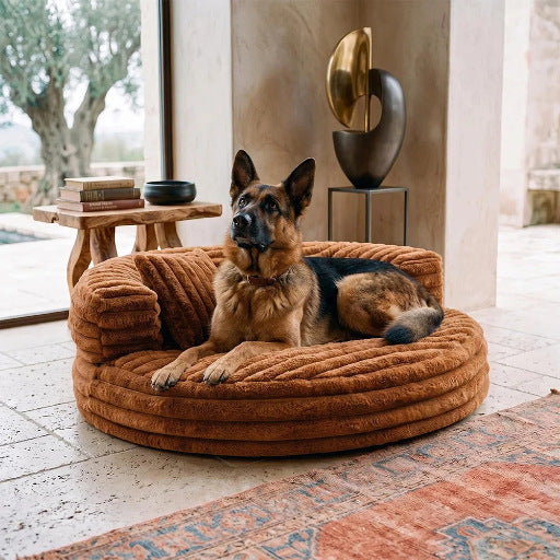 Transform Your Pet's Comfort with the Removable And Washable Cat Bed Dog Sofa