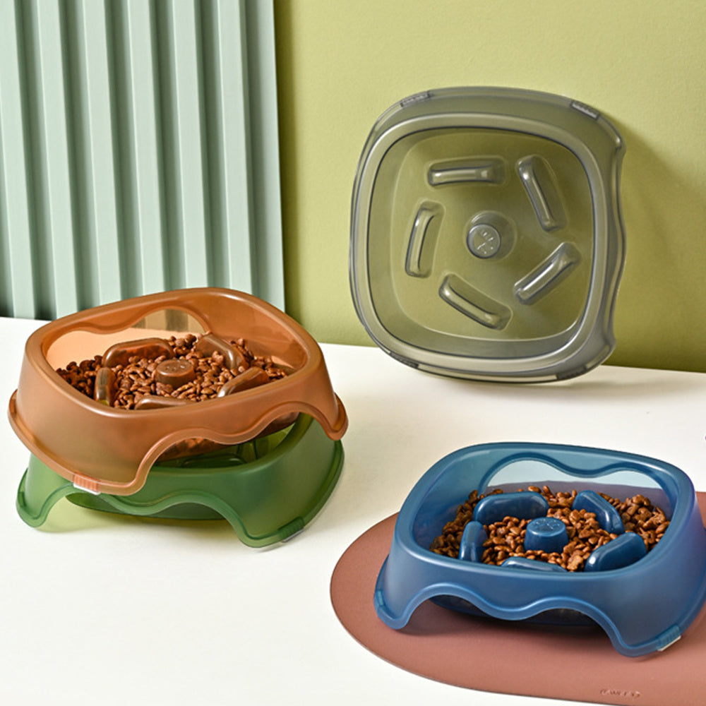 Anti Choking Pet Slow Feeding Bowl And Water Feeder