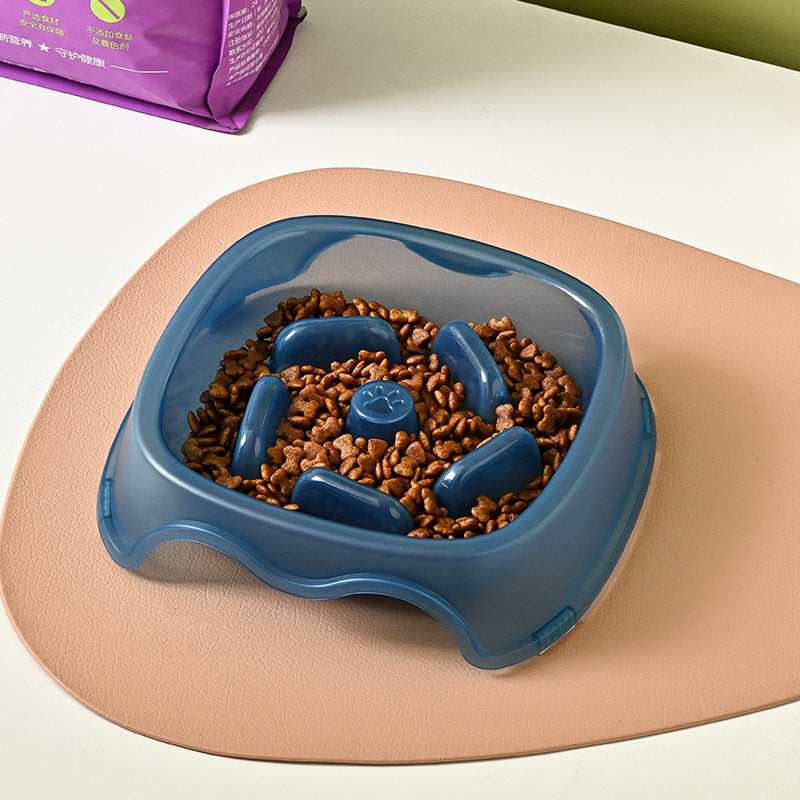 Anti Choking Pet Slow Feeding Bowl And Water Feeder