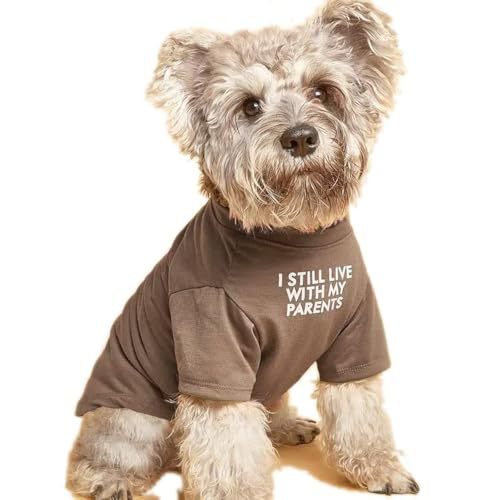 Round Neck Pet T Shirt Clothing