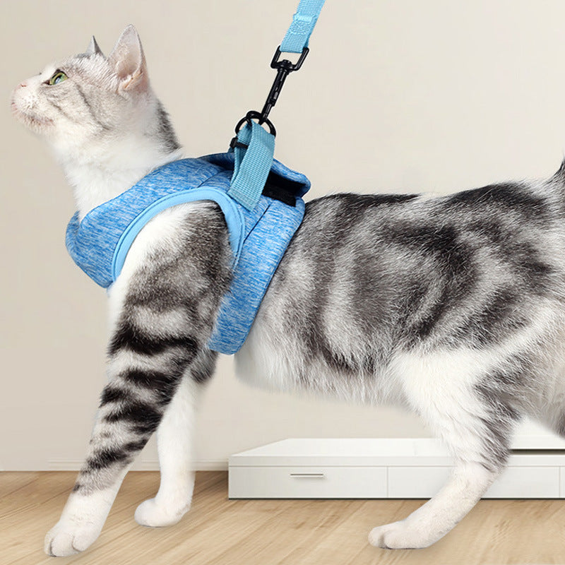 Lightweight Breathable Pet Chest Strap With Lace Rope Leash