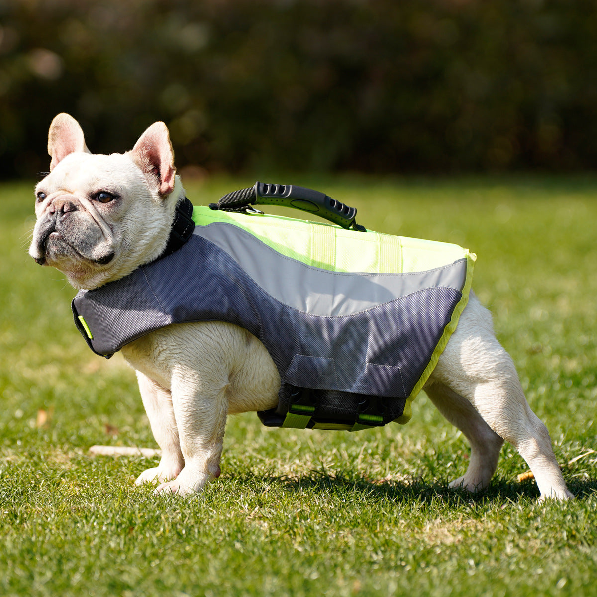 Pet Reflective Swimsuit Safety Life Jacket