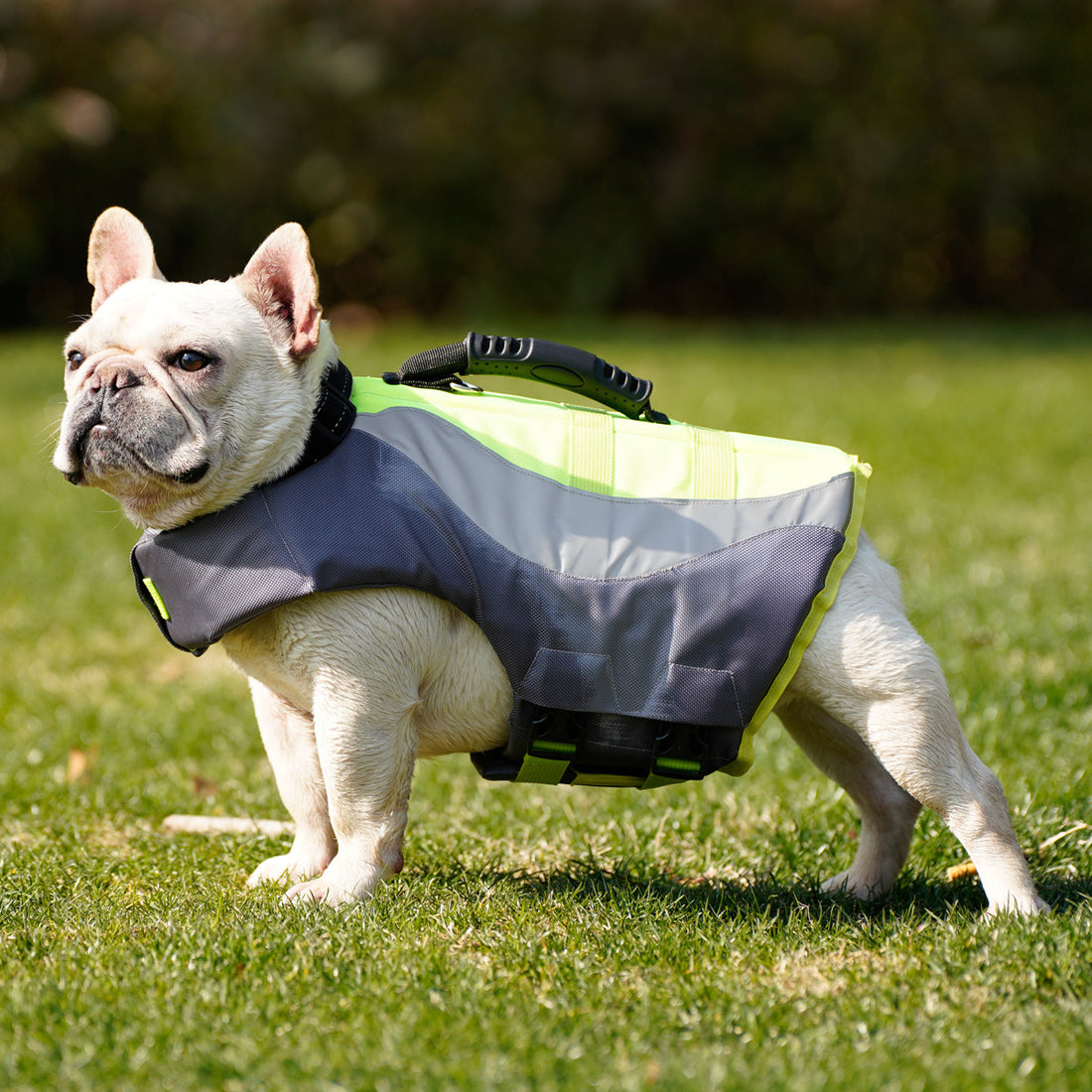 Pet Reflective Swimsuit Safety Life Jacket