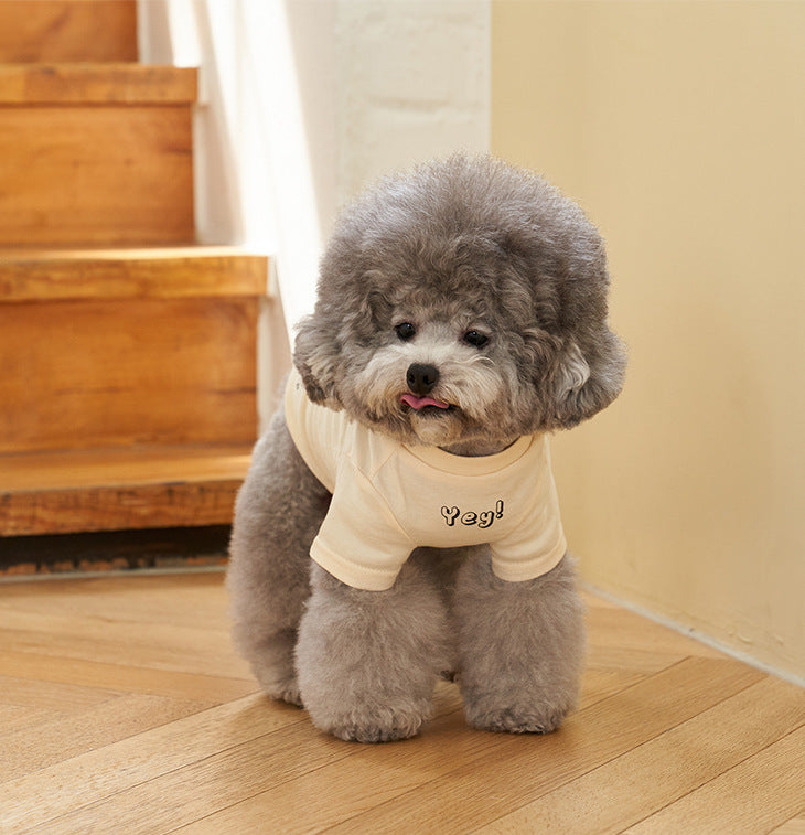 Pet Cotton Printed Summer Short Sleeve T Shirt