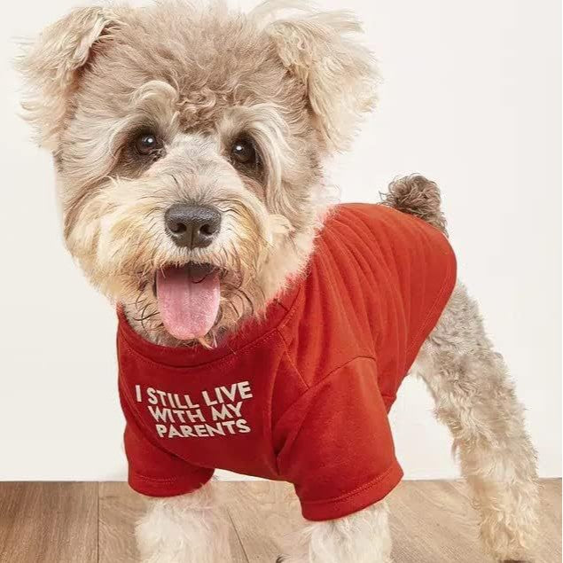 Round Neck Pet T Shirt Clothing