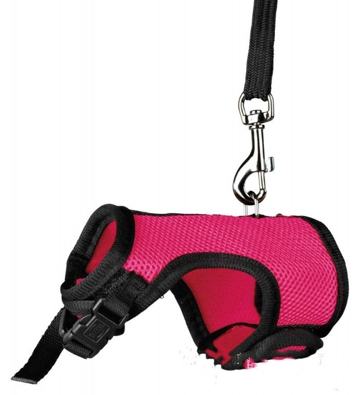Small Pet Leash Control Strap