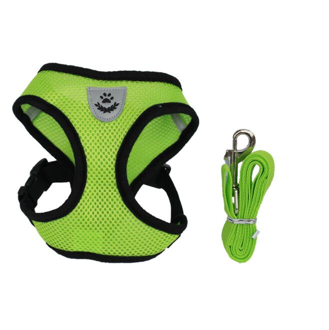 Pet Car Seat Safety Belt Leash