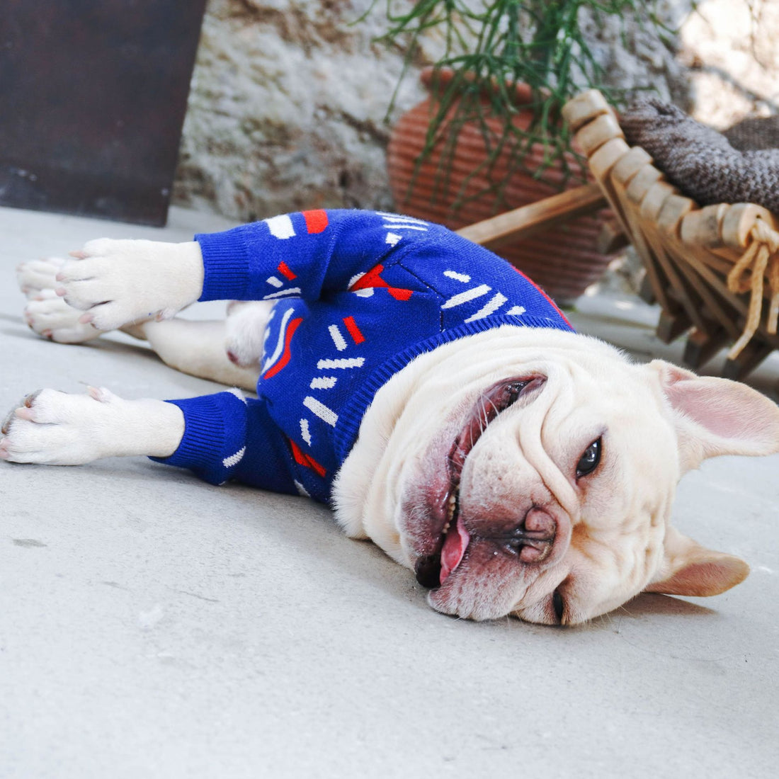 Pet Sweater Clothing For Small Pets