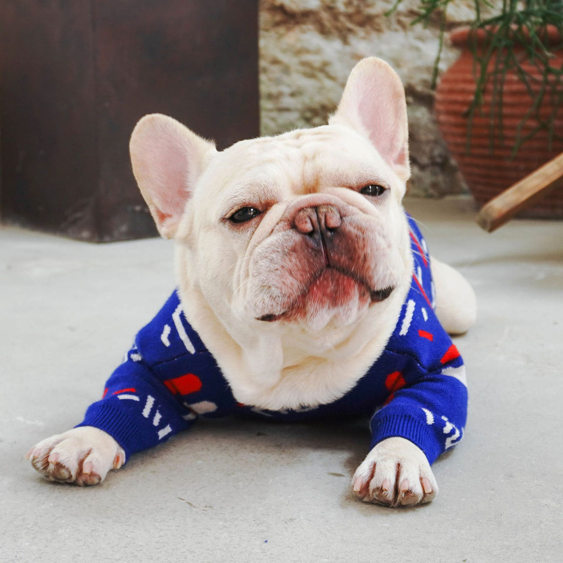 Pet Sweater Clothing For Small Pets