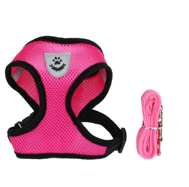 Pet Car Seat Safety Belt Leash