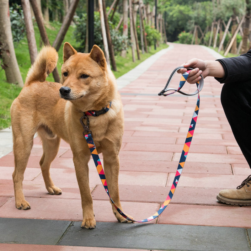 Pet Leash Durable Control Strap