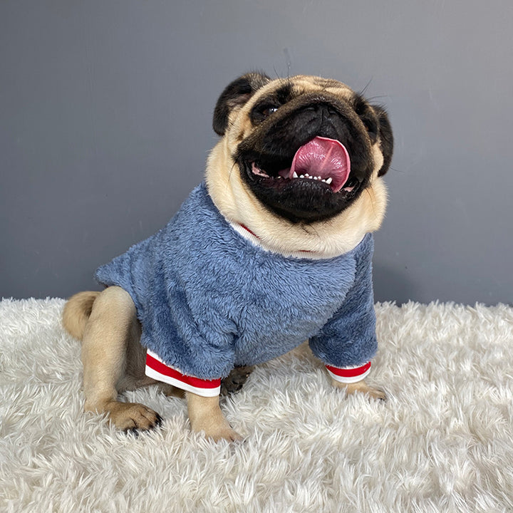 Pet Sweater Warm Knit Apparel