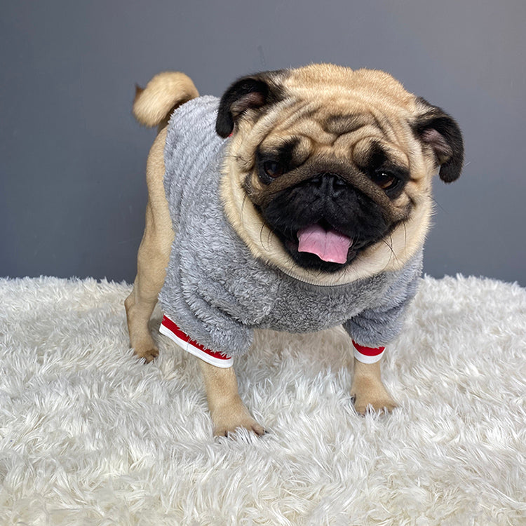 Pet Sweater Warm Knit Apparel