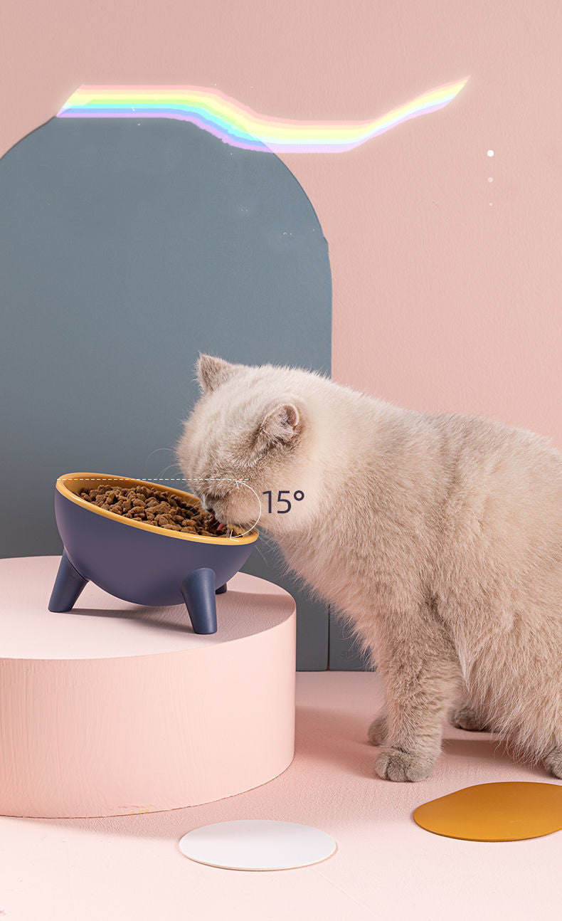 Pet Feeding Bowl With Stand Nordic Style Feeding Station