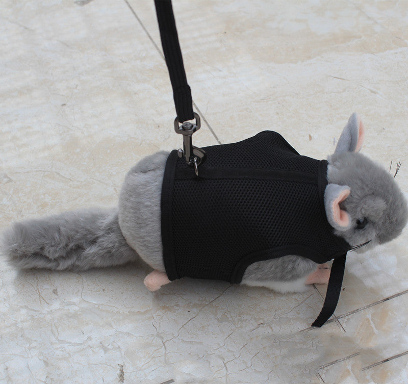 Small Pet Leash Control Strap