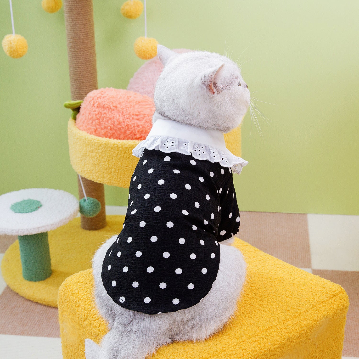 Blue Pet T Shirt Clothing