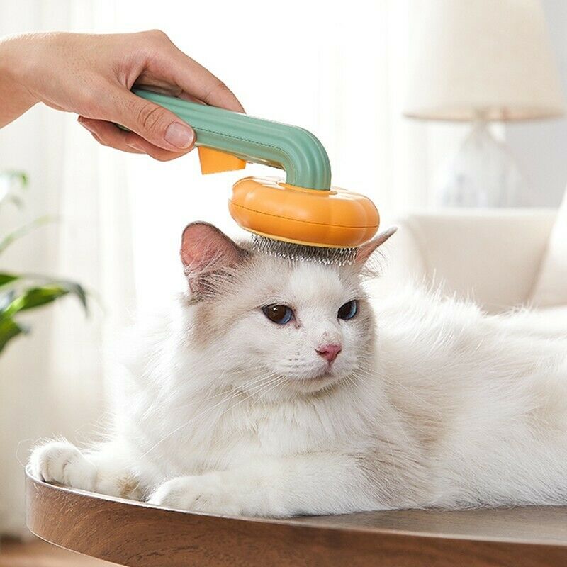 Pet Pumpkin Self Cleaning Slicker Grooming Brush