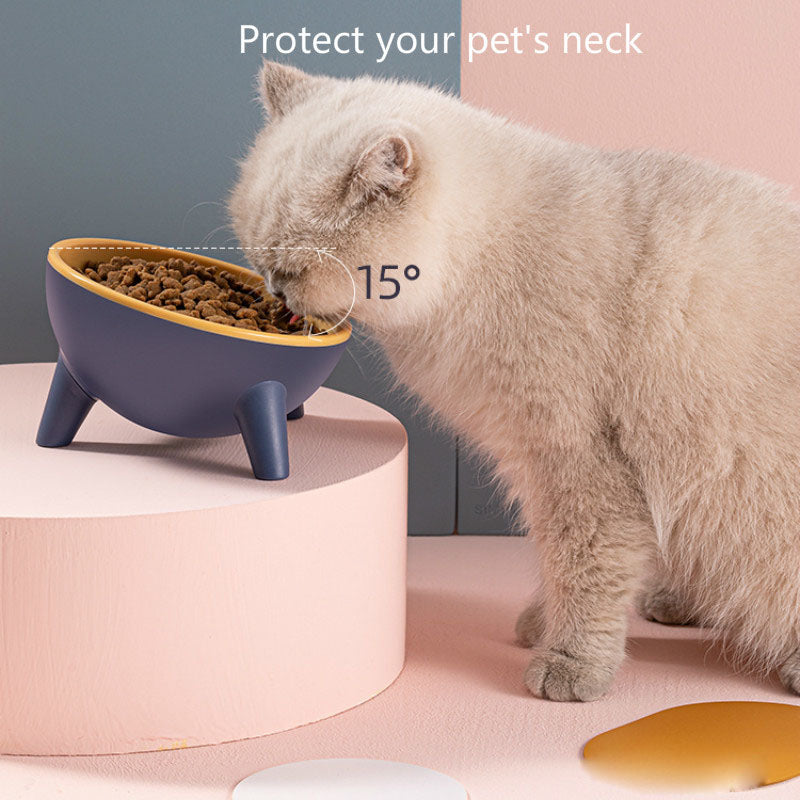 Pet Feeding Bowl With Stand Nordic Style Feeding Station