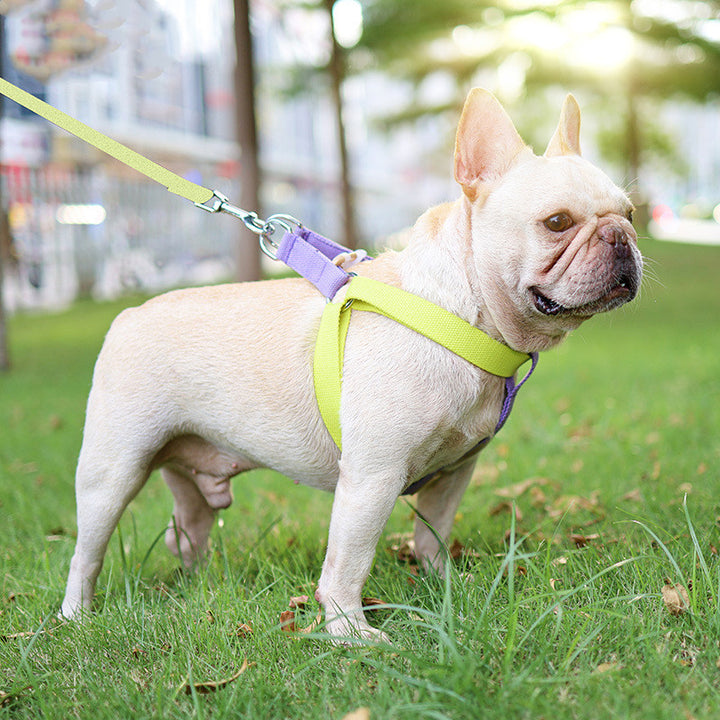 Colorful Pet Vest Style Drawstring Leash