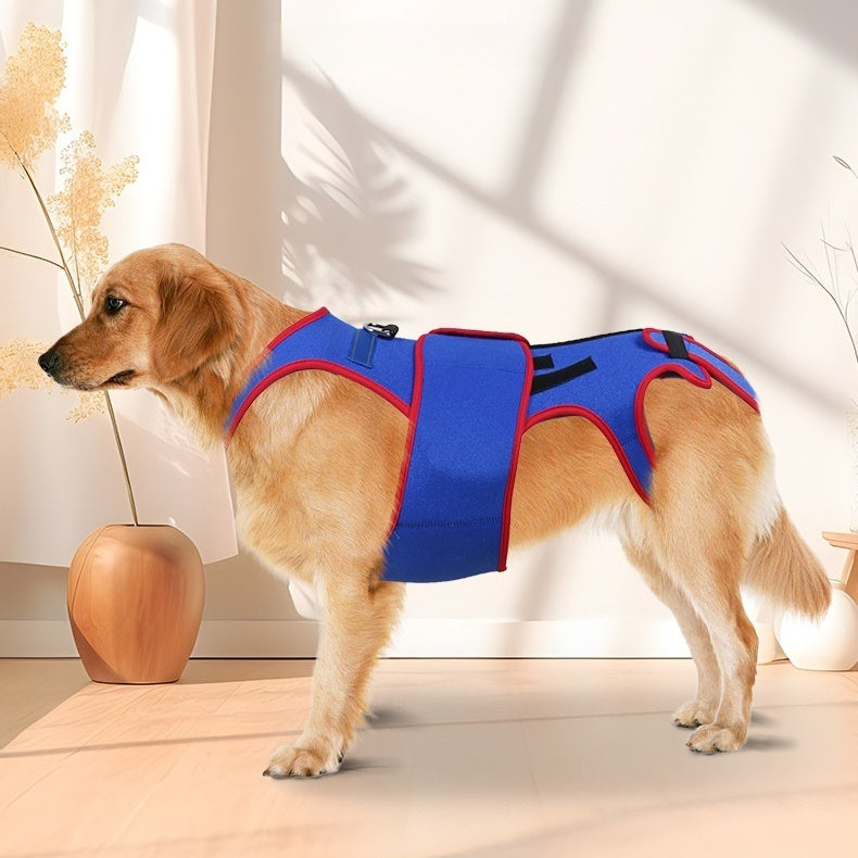 Pet Spine Support Jacket Posture Corrector