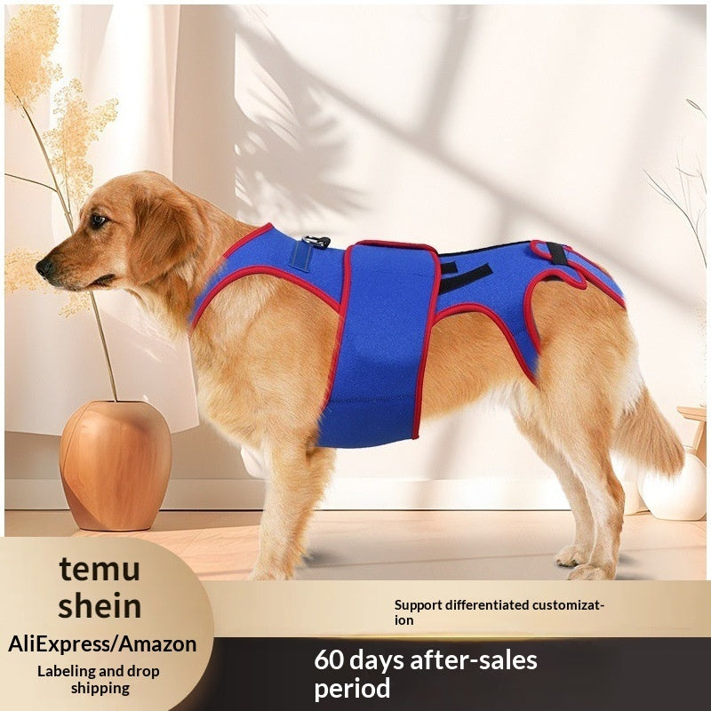 Pet Spine Support Jacket Posture Corrector