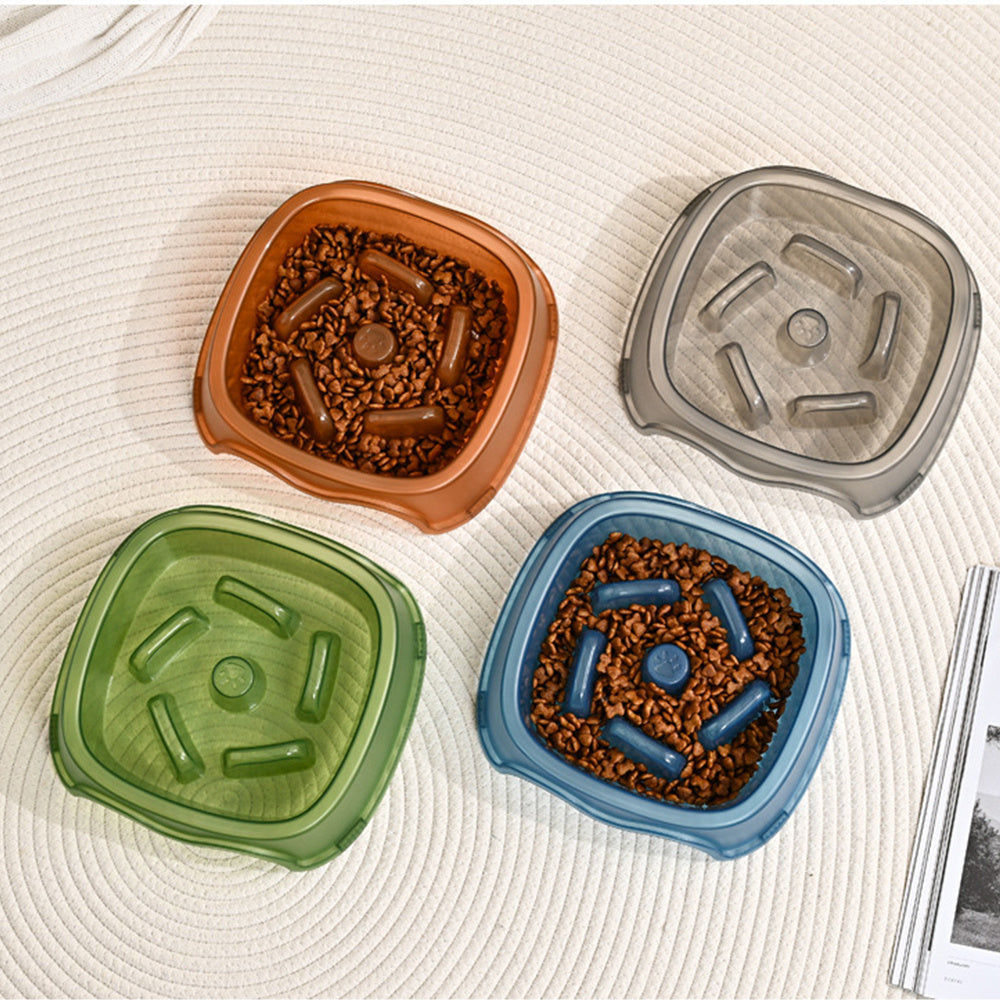 Anti Choking Pet Slow Feeding Bowl And Water Feeder