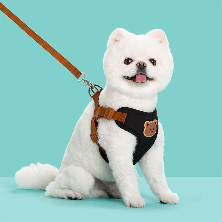 Outdoor Pet Leash Strap