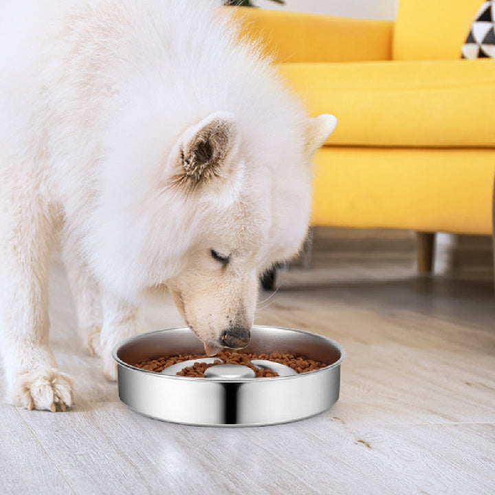Stainless Steel Pet Slow Feeding Bowl Neck Protector