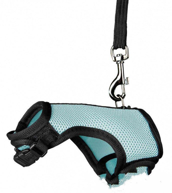 Small Pet Leash Control Strap