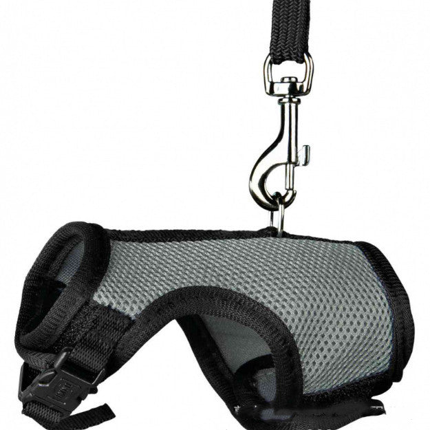 Small Pet Leash Control Strap