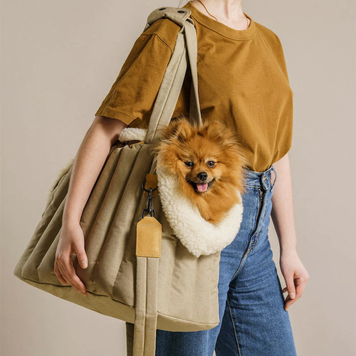 Lightweight Waterproof Pet Carrier Fashion Handbag