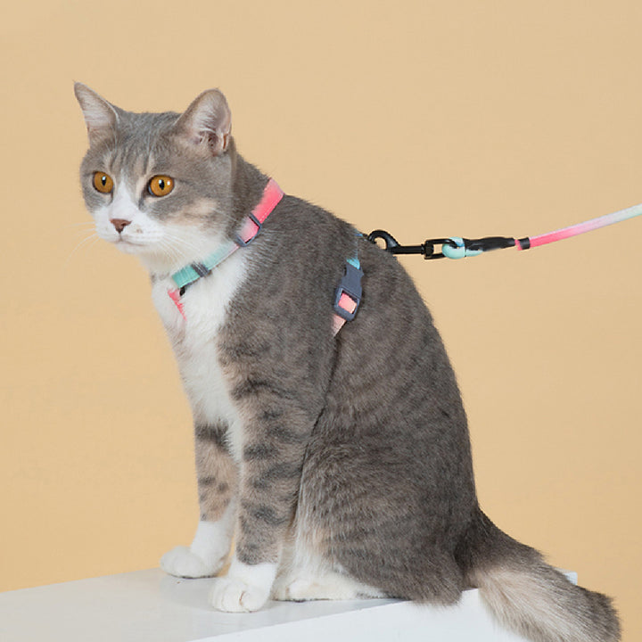Fashion Pet Leash Anti Escape Control Strap