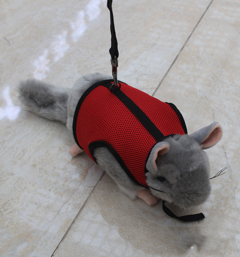 Small Pet Leash Control Strap