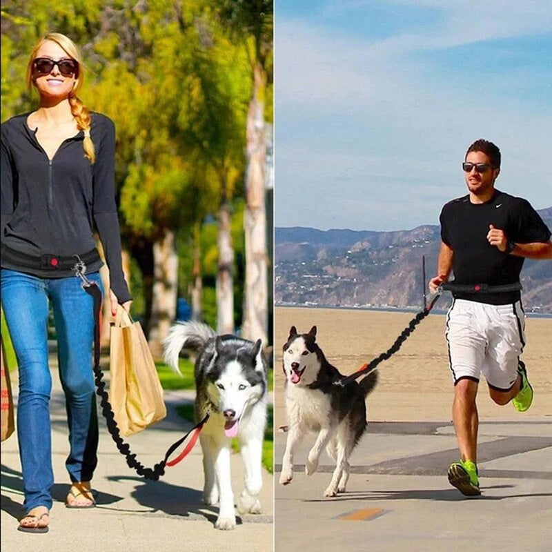 Adjustable Pet Harness Collar Jogging Leash Strap
