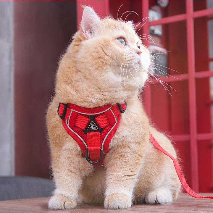 Pet Harness Vest With Chest Strap And Leash