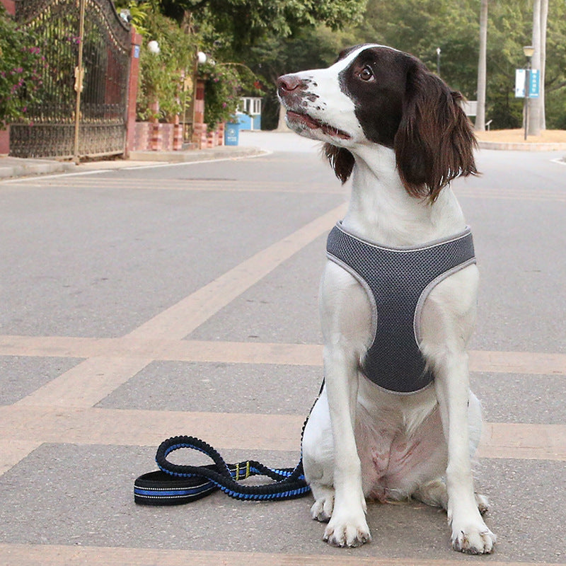 Pet Vest Harness With Leash Control Strap