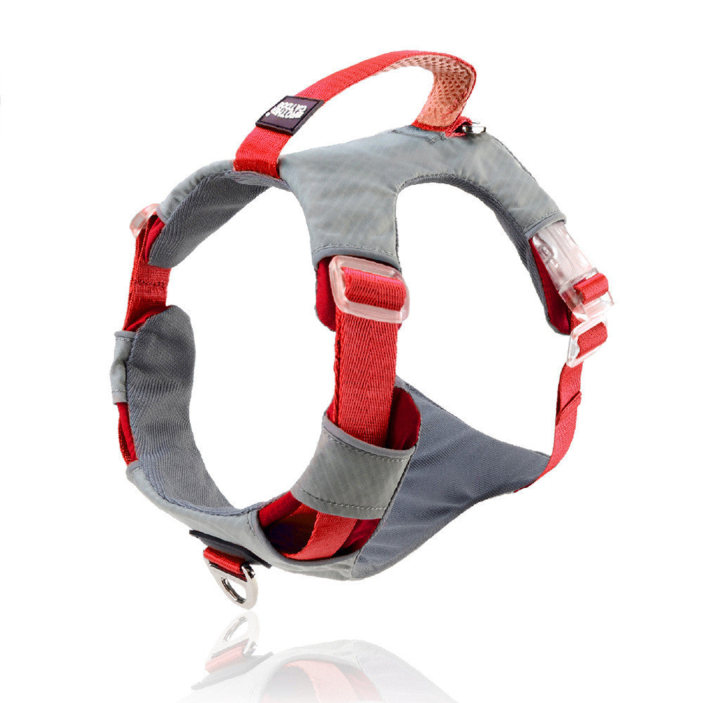 Anti Escape Pet Chest Strap Leash Storage Bag