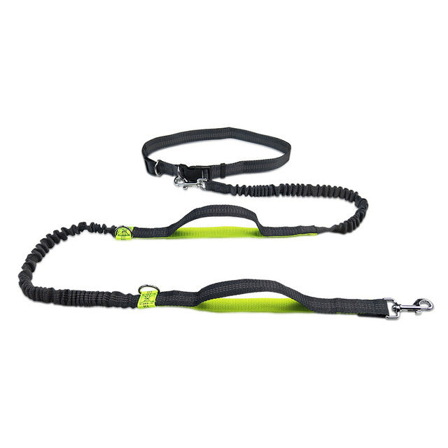 Adjustable Pet Harness Collar Jogging Leash Strap