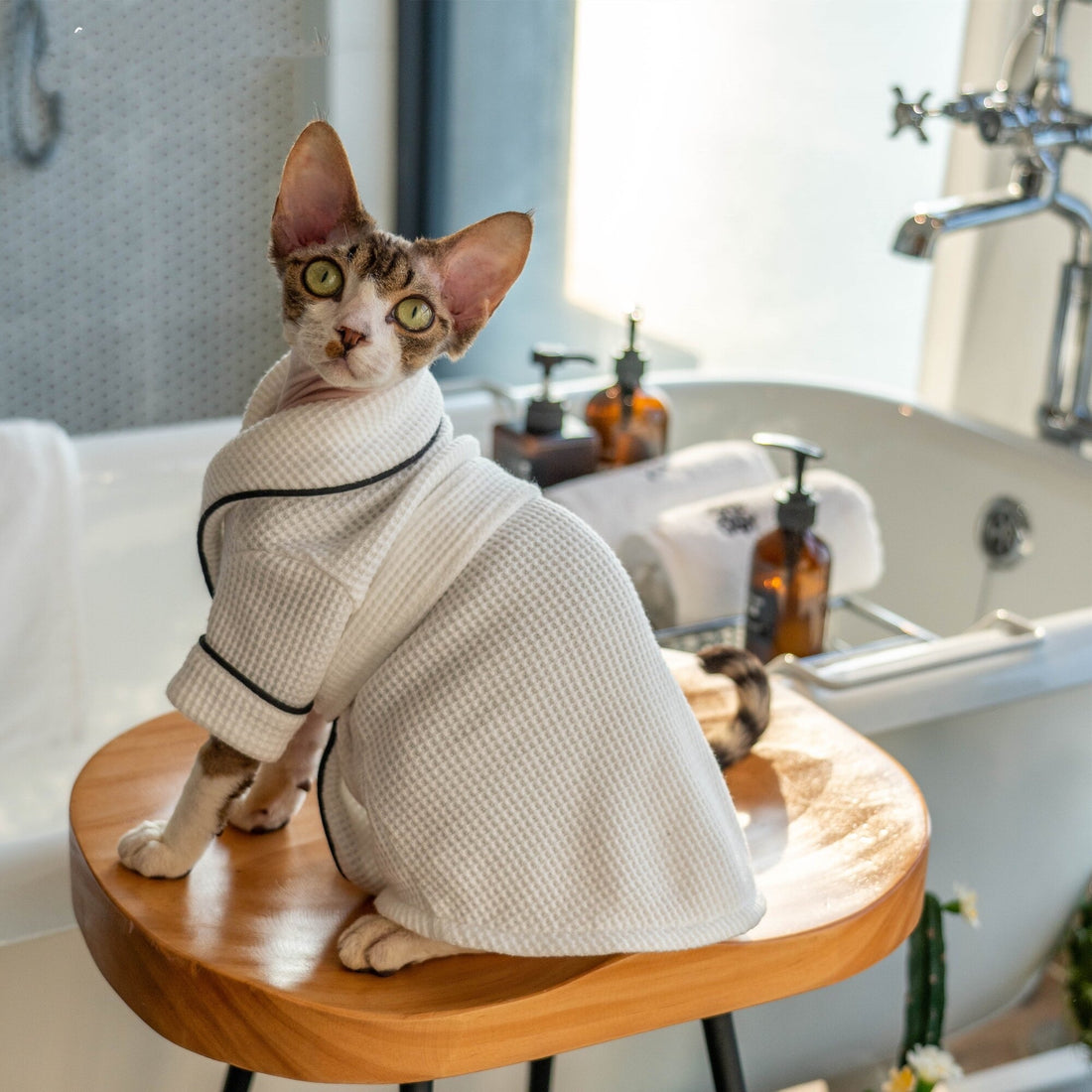Pet Soft Absorbent Bathrobe Bath Towel Wrap