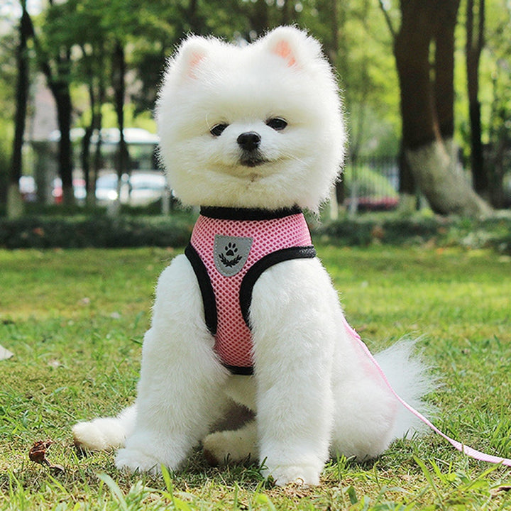 Pet Car Seat Safety Belt Leash