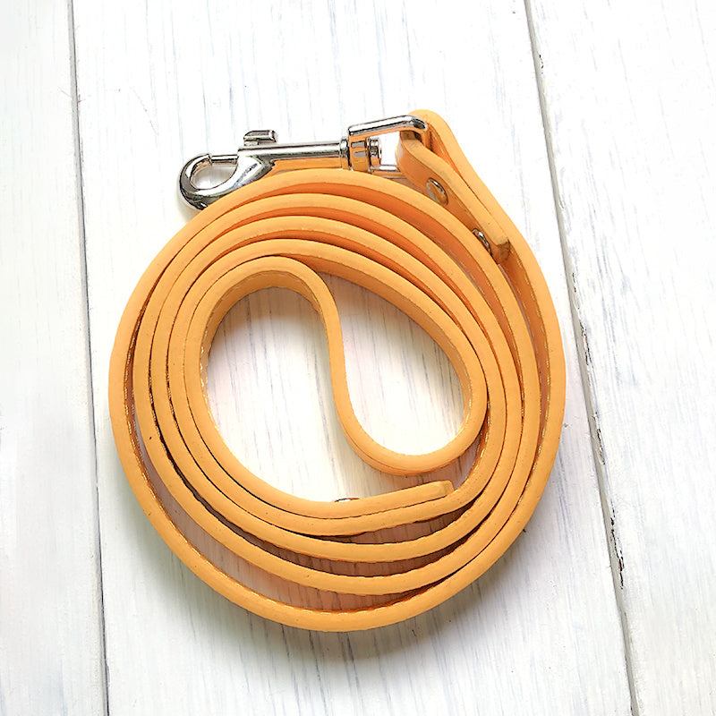 Pet Leash Collar Control Strap