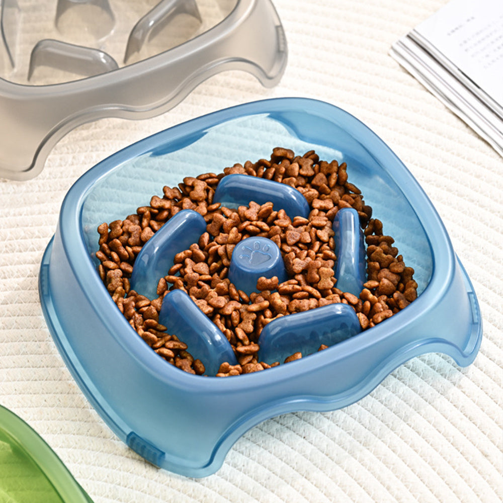 Anti Choking Pet Slow Feeding Bowl And Water Feeder